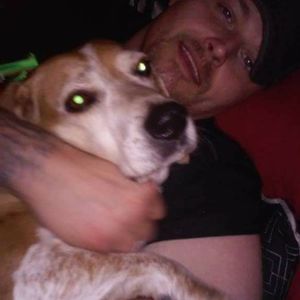 Meet your Posher, Bruce lee